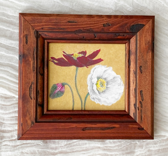 ポピー（ミニ額縁入り 鉛筆とアクリル絵の具による原画） 絵画