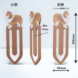  第3張的照片