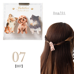 Jubilee ヘアクリップ 3点セット 動物 犬 ドッグ デザイン jubileeHairClip-007 1枚目の画像