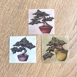 Bonsai Sticker Set (3 piece) - 盆栽のシールセット(３枚） 1枚目の画像