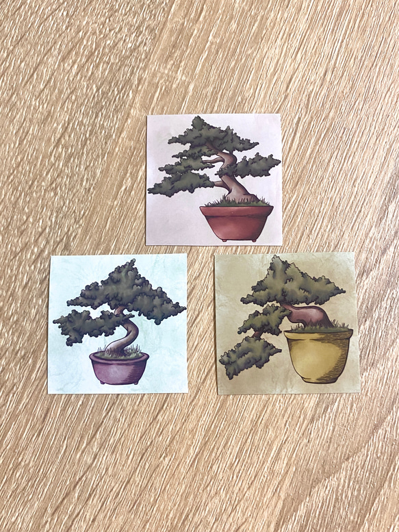 Bonsai Sticker Set (3 piece) - 盆栽のシールセット(３枚） 1枚目の画像