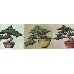 Bonsai Sticker Set (3 piece) - 盆栽のシールセット(３枚） 2枚目の画像