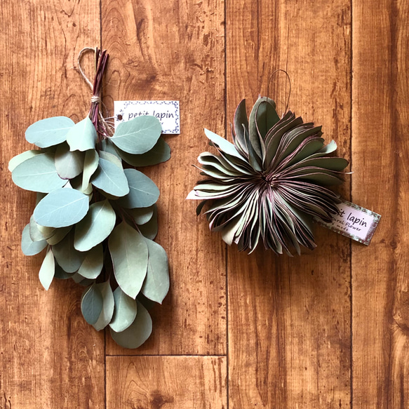 2.アナベルスワッグ No.266 アナベルのスワッグ | AMS.