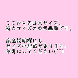 【台本付き】どんないろがすき　誕生会　パネルシアター 11枚目の画像