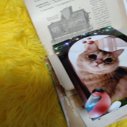 ジャンクジャーナル1900年代初頭 アンティーク紙もの♪音符♬外国紙&cuteな♥(ΦωΦ)猫ちゃん 9枚目の画像