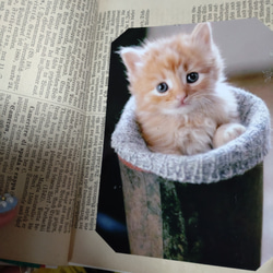 ジャンクジャーナル1900年代初頭 アンティーク紙もの♪音符♬外国紙&cuteな♥(ΦωΦ)猫ちゃん 8枚目の画像