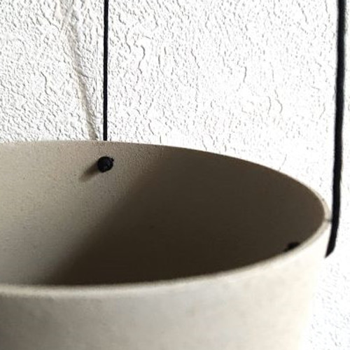 ○数量限定○新作○ モンステラの吊り下げ ”モンステラ マドカズラ