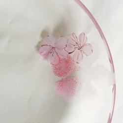 サクラと裏からもサクラの花びら・・１２ｃｍペア小皿A 7枚目の画像
