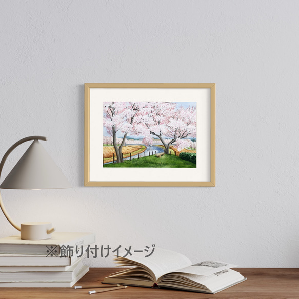 「春爛漫02」透明水彩画　原画　風景画　額縁付　F4サイズ 2枚目の画像