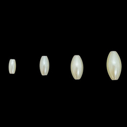 【30顆】珍珠珠★欖尖形/10×5mm★米白色 棗紅色 樹脂珍珠 塑膠珍珠 第5張的照片