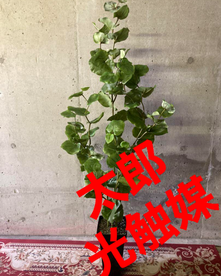 光触媒　人工観葉植物　ウォールグリーン　フェイクグリーン　シーグレープ４本立
