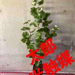 光触媒 人工観葉植物 ウォールグリーン フェイクグリーン 藤の花ツリー