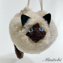 ぬいぐるみみたいな 香箱座りのシャム猫さん巾着バッグ　トート　ミニショルダー　ポシェット 猫雑貨　猫グッズ　リアル　 3枚目の画像