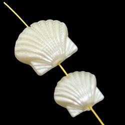 【10顆】珍珠珠★貝類/14.5×17mm★米白色貝殼樹脂珍珠塑膠珍珠 第4張的照片