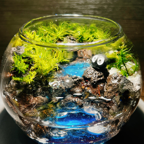 010》水を張れる苔テラリウム 一隅を照らす 我が家のオアシス
