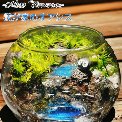 010》水を張れる苔テラリウム 一隅を照らす 我が家のオアシス