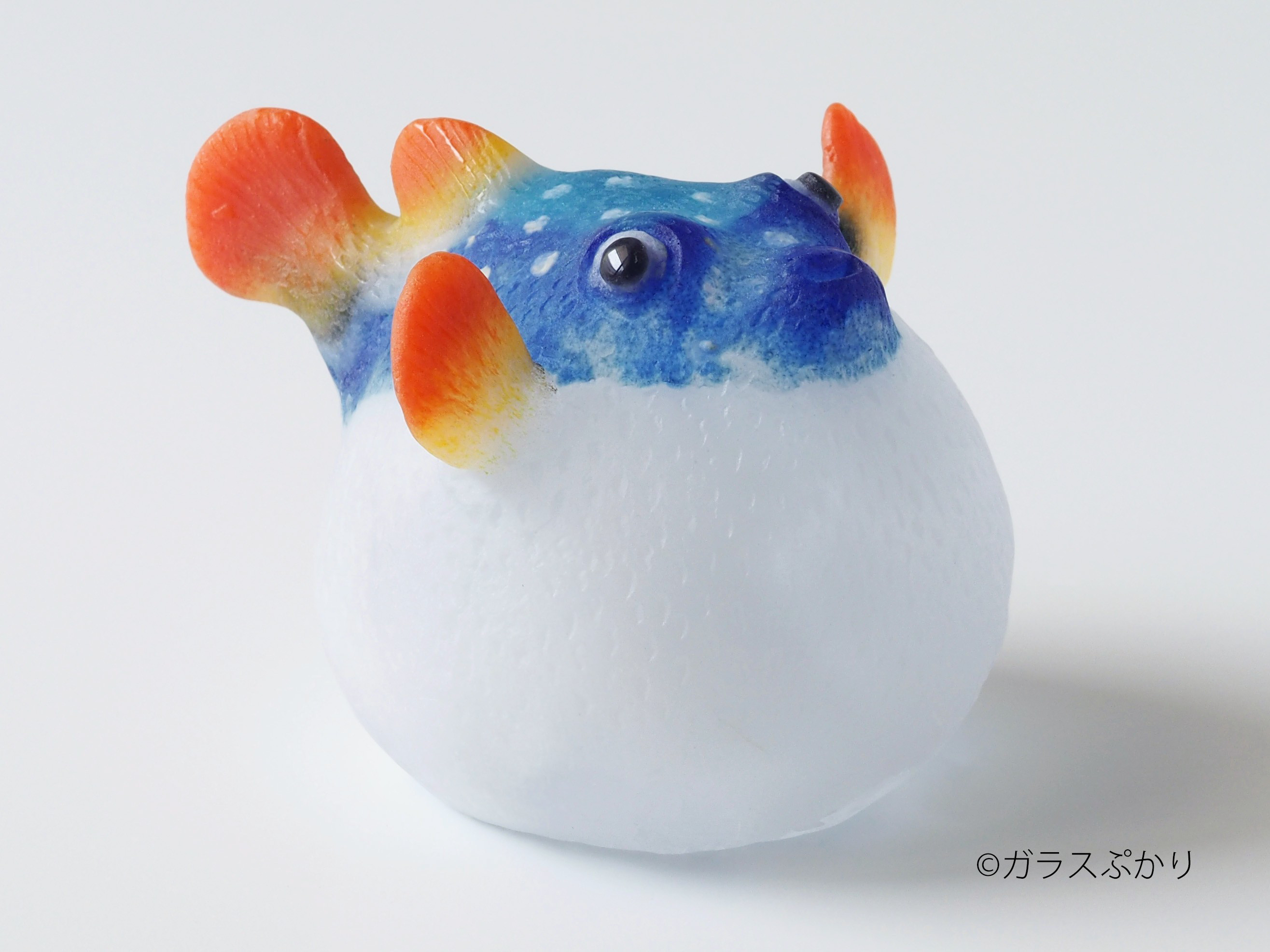 フグのオブジェ　置物　フグ【国産】 61x4NGv0tbL._UF350,350_QL80_.jpg