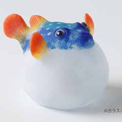 03e15eb35975fc264c084cce014d7e