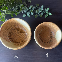 直火、冷凍OK！　大きめ本格お料理ボウル　 8枚目の画像