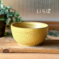 直火、冷凍OK！　大きめ本格お料理ボウル　 7枚目の画像