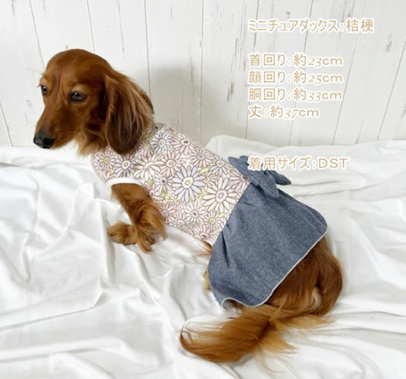 【NEW】 ガーベラ柄 ワンピース   犬服 ドッグウェア ガーベラ 花 8枚目の画像