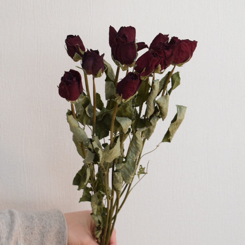 ワインレッドローズ ドライフラワー素材 ドライフラワー 日光園藝 通販