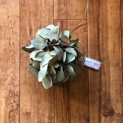 ユーカリポポラスのボールリース フライングボール ユーカリポポラスのボールリース フライングボール