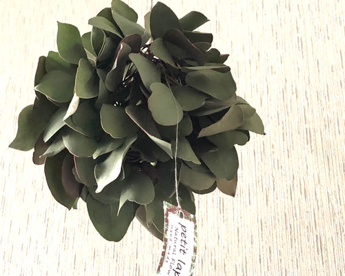 dc163071fb75ebb1ccf2ff07037362