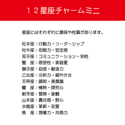 蓄光 12　星座　チャーム　ミニ　おひつじ座　両面　キーホルダー　安全グッズ　星　夜空　牡羊座　プチギフト　非常時 3枚目の画像