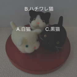 【受注生産】マーキング猫ちゃん・aグループ 2枚目の画像