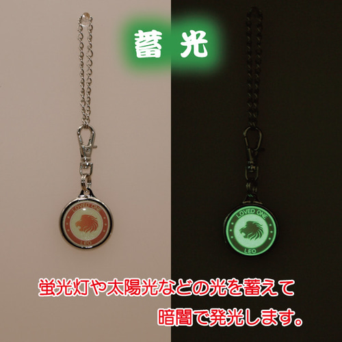 REBORN 星座 アクリルキーホルダー 12点 家庭教師ヒットマン REBORN！ アクリルキーホルダー