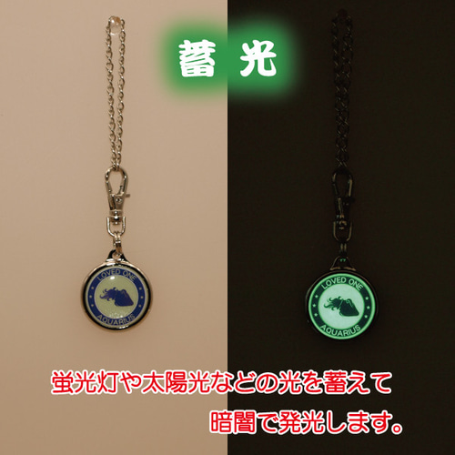 蓄光 12 星座 チャーム ミニ みずがめ座 両面 キーホルダー 安全グッズ