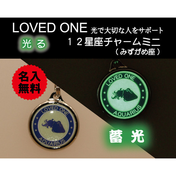 モンチッチ 30周年アニバーサリー 12星座モンチッチキーチェーン