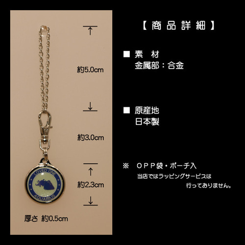 蓄光 12 星座 チャーム ミニ みずがめ座 両面 キーホルダー 安全グッズ
