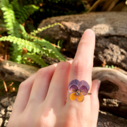 リングパンジー樹脂蝶の花のギフトボックス手作りカスタマイズ 5枚目の画像