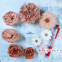 [送料無料]プリザの花箱✿Pure Carnation 花材セット 詰め合わせ プリザーブドフラワー ドライフラワー 2枚目の画像