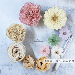 [送料無料]プリザの花箱✿Natural Carnation 花材セット詰め合わせ プリザーブドフラワー ドライフラワー 2枚目の画像