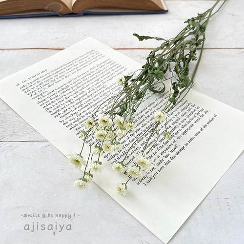 マトリカリア＊ダブルラテ♪アレンジ＊押し花染花＊ドライ花材にも