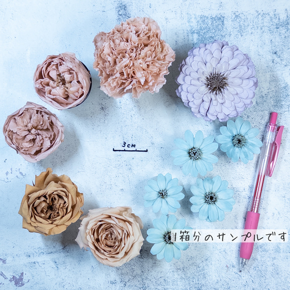 [送料無料]プリザの花箱✿Sweet Carnation 花材セット詰め合わせ プリザーブドフラワー ドライフラワー 2枚目の画像