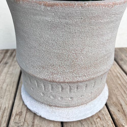 サンスベリア＊ブラックドラゴン＊陶器鉢＊空気清浄＊観葉植物