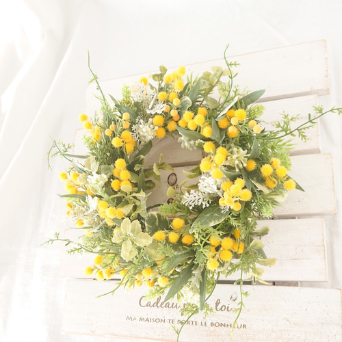 ミモザのリース ブランミモザのリース✴ 冬の白×春を告げるミモザ～、白いミモザも素敵