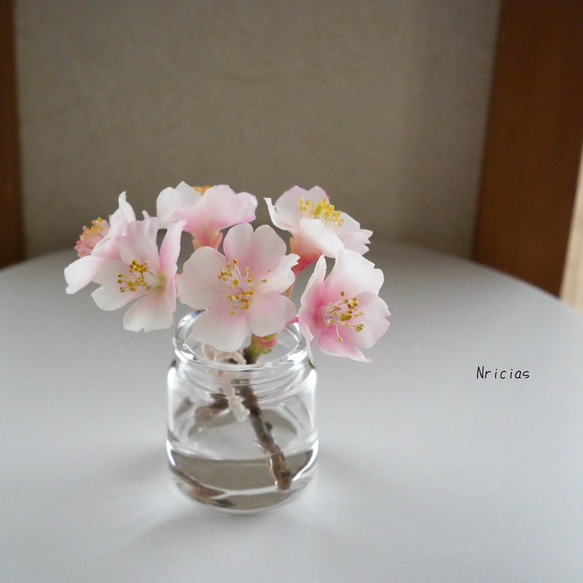 ちょこんとさん♪ Sakura 枯れない マジカルウォーター 桜 NO.MWS3-2G 15枚目の画像