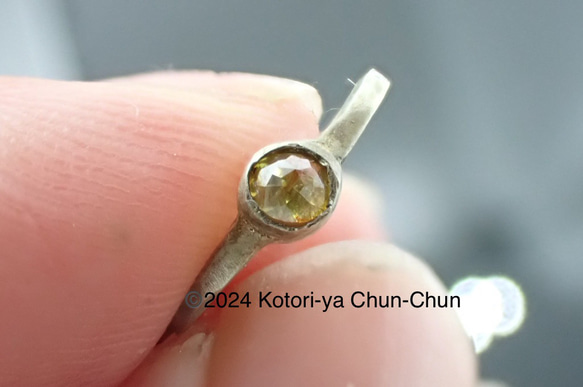 新品 激レアストーン コーネルピン 稀少石 ダイヤ リング Pt 新品 激レアストーン コーネルピン 稀少石 ダイヤ リング Pt 新品 激