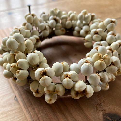 8種類の野草 ~直径約10cm手のひらリース リース 音の庭 ~dried flower