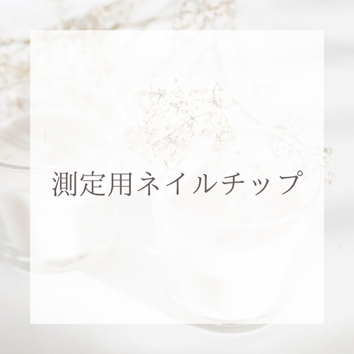 測定用ネイルチップ ネイルチップ（つけ爪） A ONE 通販