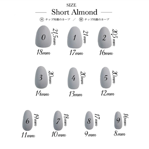 測定用ネイルチップ ネイルチップ（つけ爪） A ONE 通販 17220436