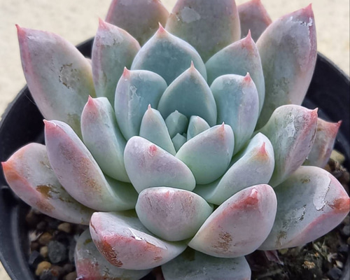 59f0dc3ae8d08b09af43a92d11b192