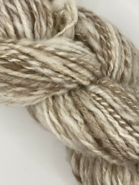 手紡ぎ毛糸ポルワス　ホワイトmix、ブラウン 6枚目の画像
