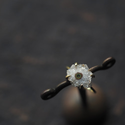 solar quartz brass ring (shuyu) 5枚目の画像