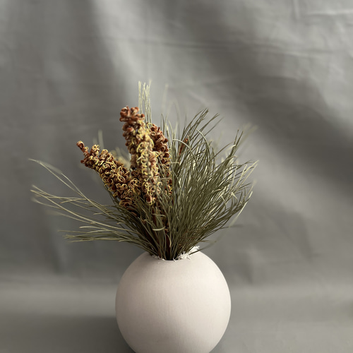 グレビレア スパイダーマン オブジェ Grevillea object ドライフラワー